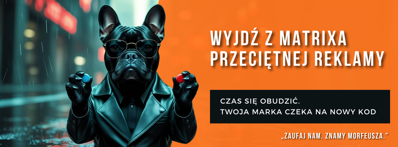 Zdjęcie na okładce dla 1v0 Creative Studio Kołobrzeg - Strony Internetowe | Pozycjonowanie | Social Media